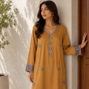 hand embroidery dress store